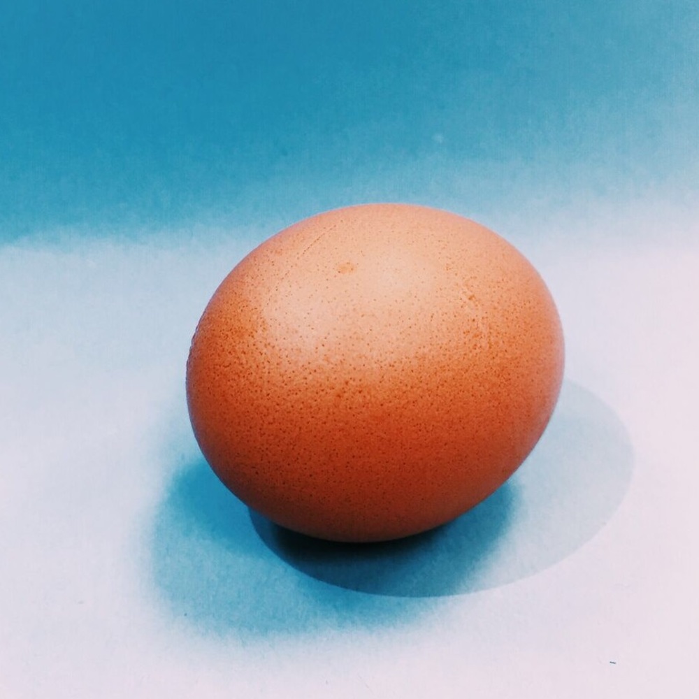 Meet your Posher, Shania